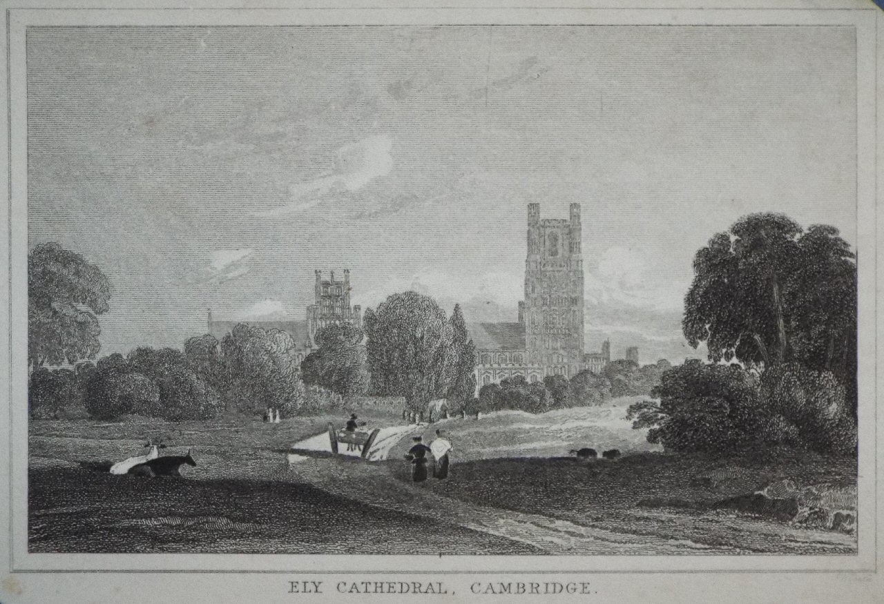 Print - Ely Cathedral, Cambridge.
